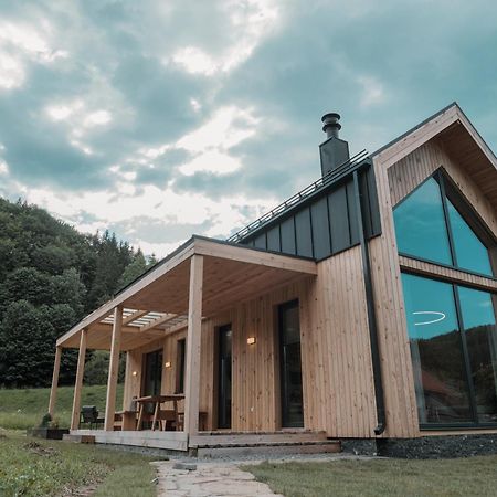 Vama Chalet 布泽乌河畔瓦马乡 外观 照片