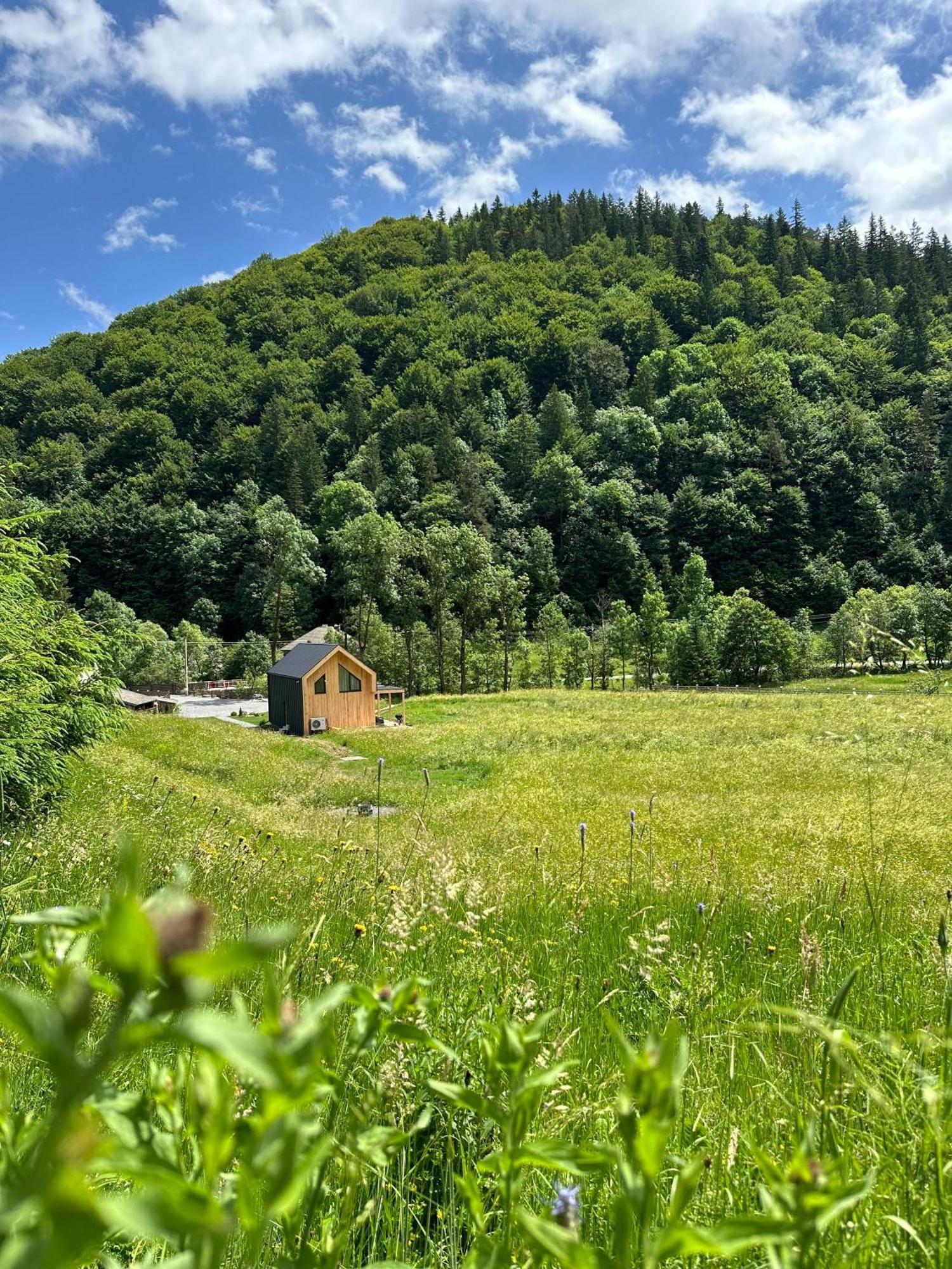 Vama Chalet 布泽乌河畔瓦马乡 外观 照片